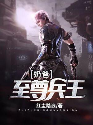 至尊兵王8难完整版