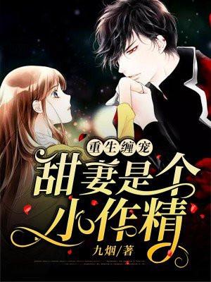 重生甜妻宠上瘾免费阅读