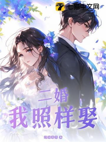 二婚再娶