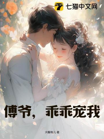 傅爷我宠你的叫什么