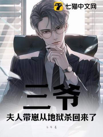 三爷夫人自带马甲