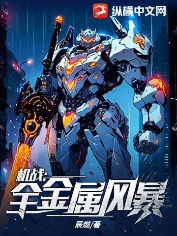 机战全金属风暴笔趣阁
