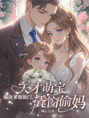 天才萌宝爹地超宠妻