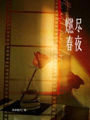 燃尽春光讲的什么