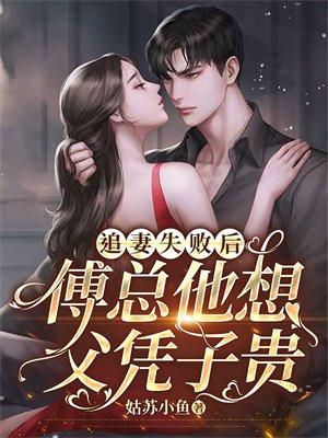 傅总他想父凭子贵盛以安837