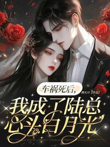 车祸后我成了苏小姐的吗