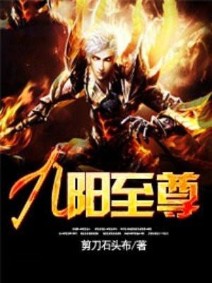 九阳至尊全本TXT奇书网