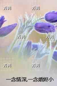 一念情深一念劫全文