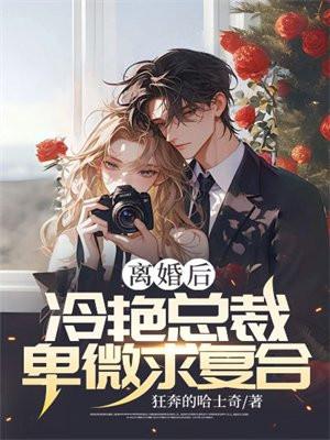 离婚冷妻总裁追妻路免费无弹窗