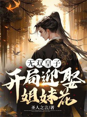 无双皇子开局被夺