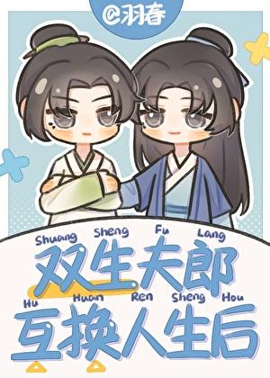 双生夫郎互换人生后格格党