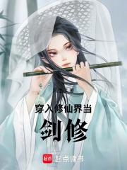 穿入修仙界当剑修